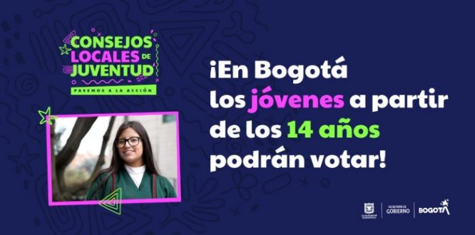 joven elecciones consejo local de juventud 
